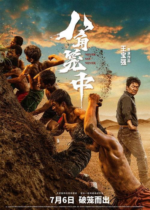 八角笼中,揭秘现代搏击世界的残酷与荣耀