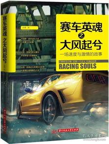 赛车英魂（国语版）,速度与激情的传奇竞技之旅